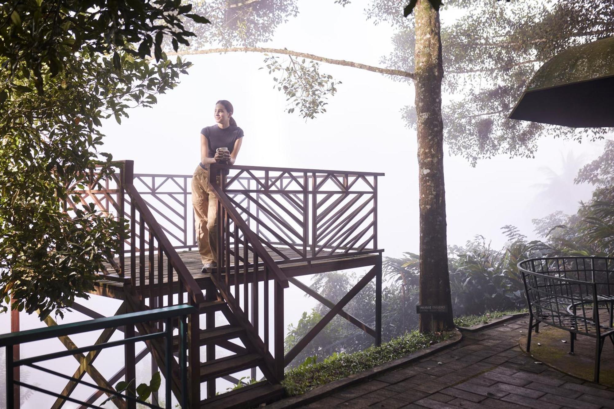 Forest Canopy Thekkady Exterior photo